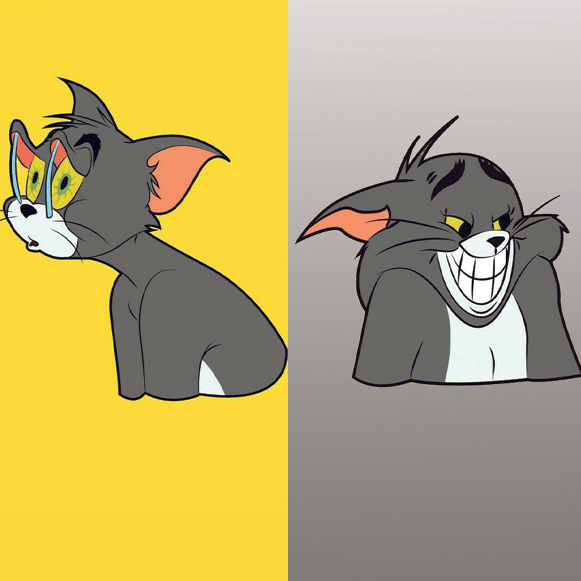 Tom Fans Loop Straps - Switch Bands