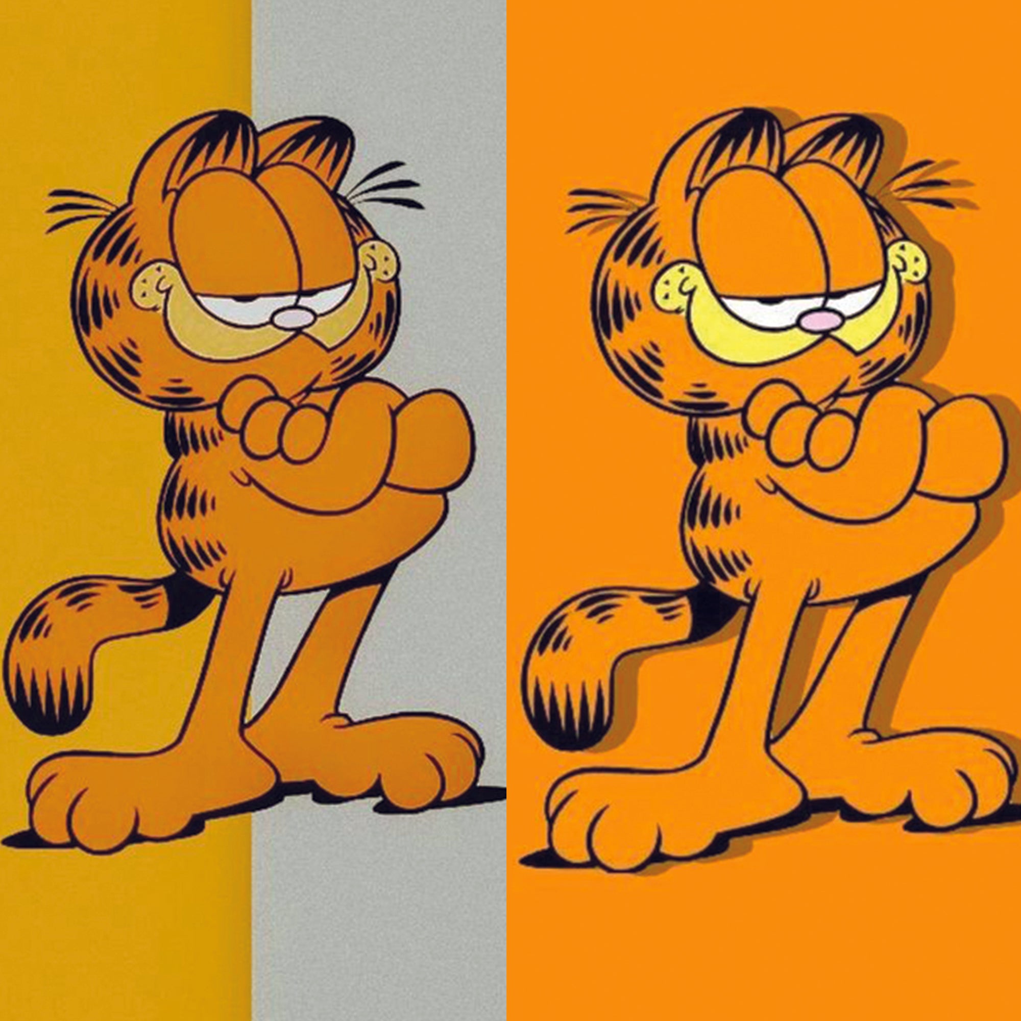 Standing Cat Loop Straps - Switch Bands