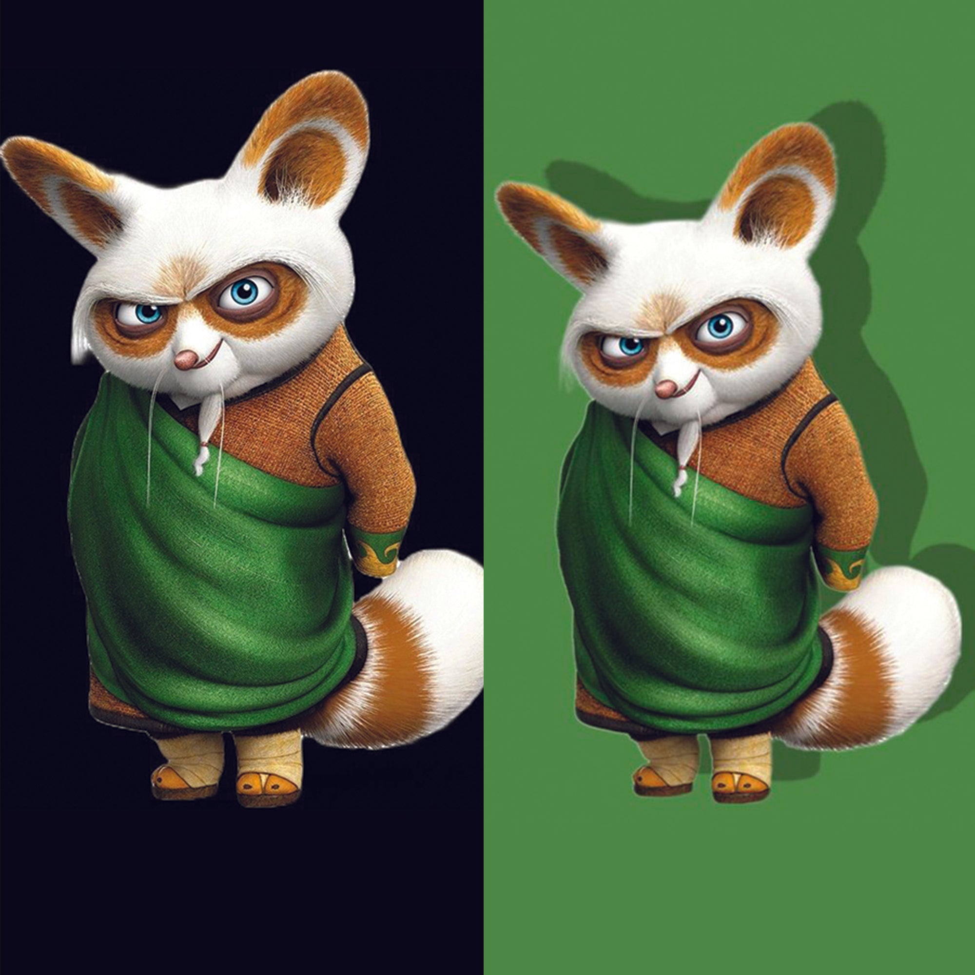 Master Shifu loop Straps - Switch Bands