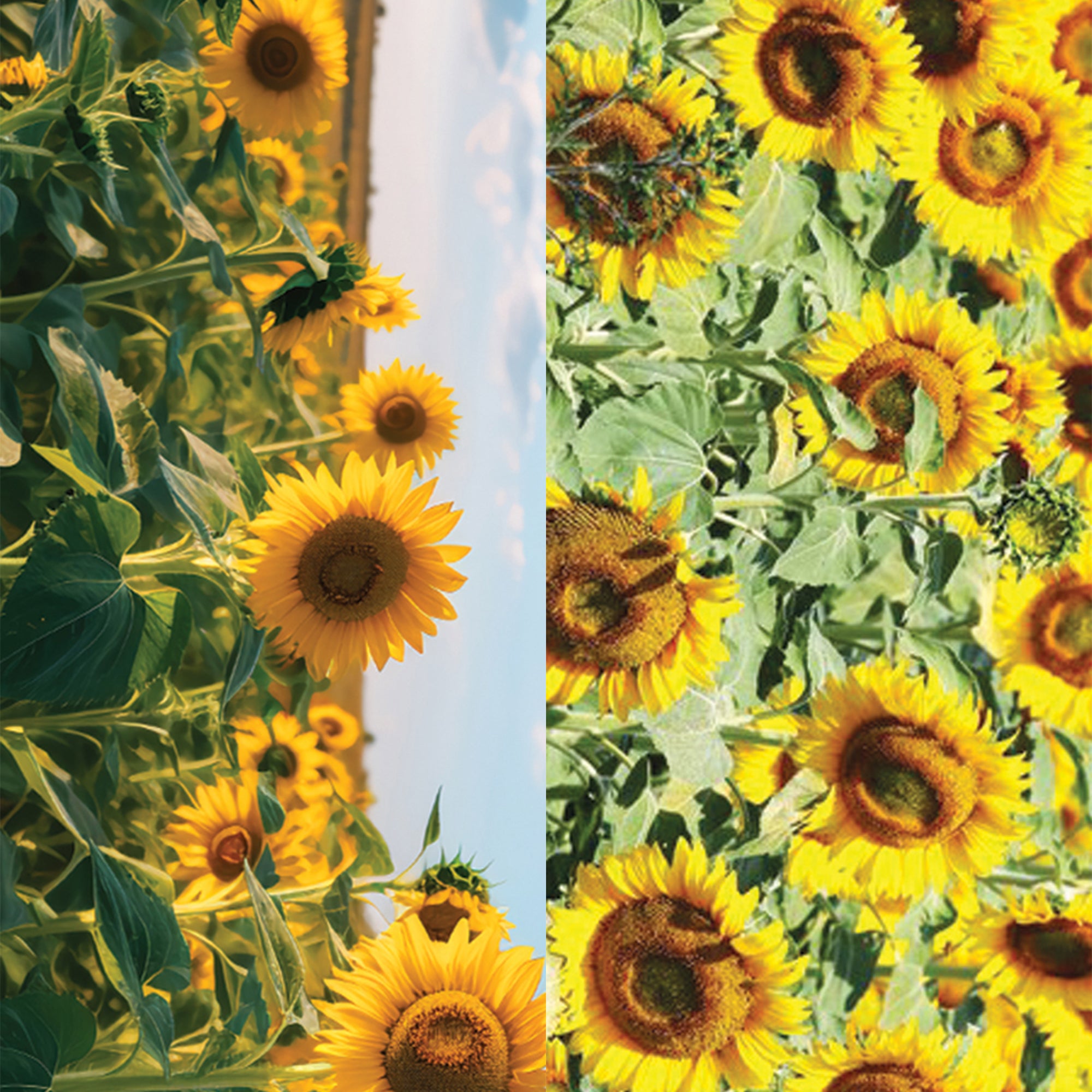 Sun Flower Strap Loop - Switch Bands